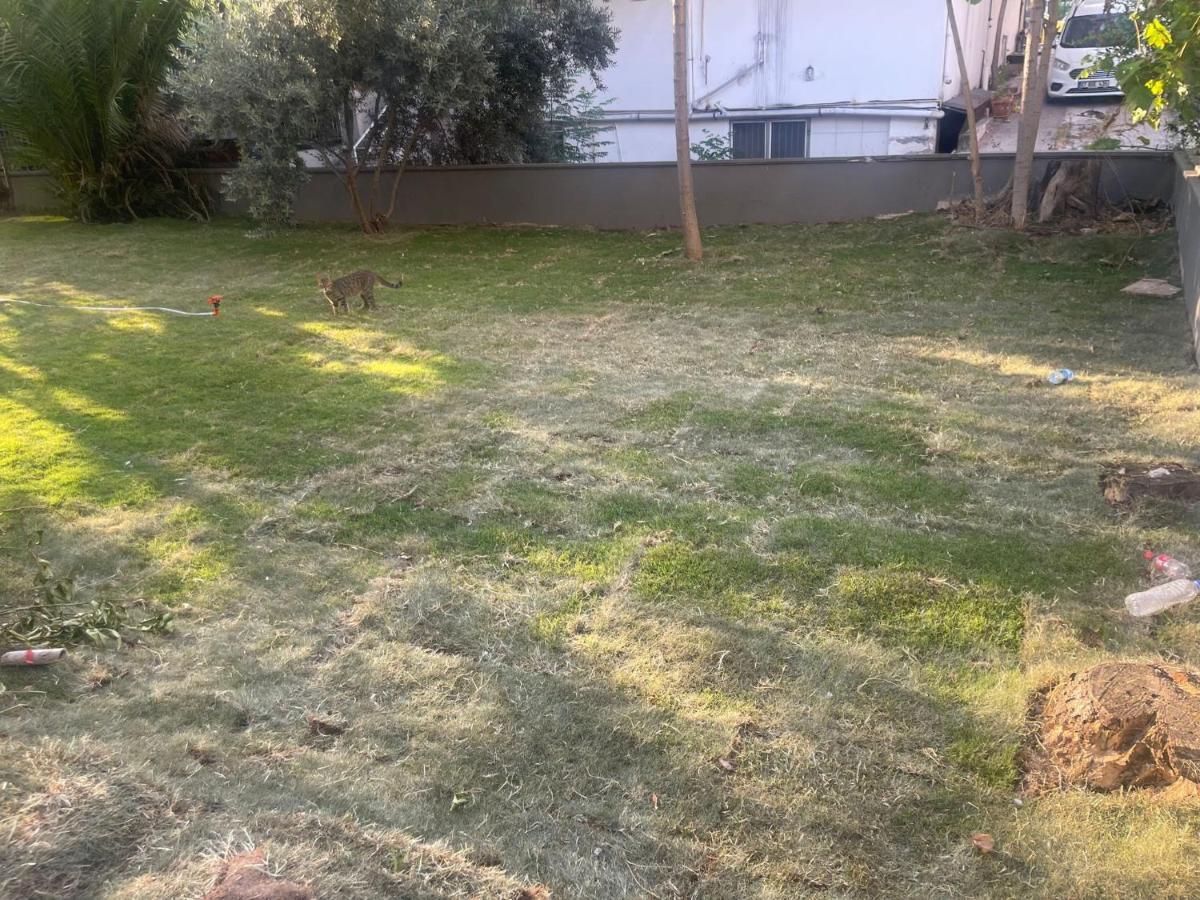 Sirinyali Denize 100 M Gunluk Daireler